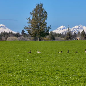 10300 NE Canyons Ranch Drive, Terrebonne, OR