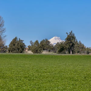10300 NE Canyons Ranch Drive, Terrebonne, OR