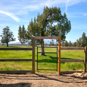 12913 NW Lark Meadow Lane, Powell Butte, OR