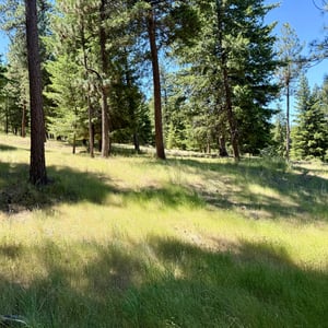 5920 NE Cerysa Lane, Prineville, OR