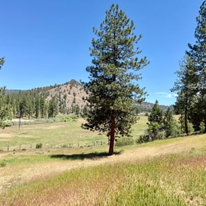 5920 NE Cerysa Lane, Prineville, OR