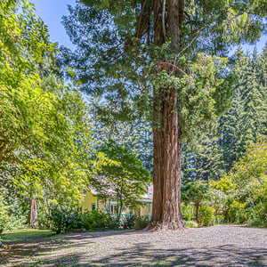 2628 S BEAVER CREEK RD, Seal Rock, OR
