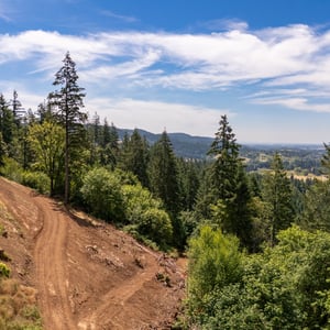 30540 NE BELL RD, Newberg, OR