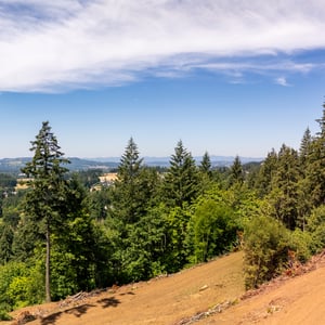 30540 NE BELL RD, Newberg, OR