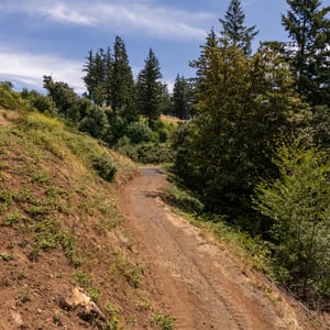 30540 NE BELL RD, Newberg, OR