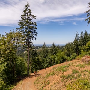 30540 NE BELL RD, Newberg, OR