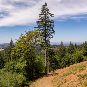 30540 NE BELL RD, Newberg, OR