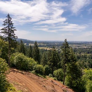 30540 NE BELL RD, Newberg, OR