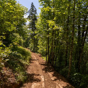 30540 NE BELL RD, Newberg, OR