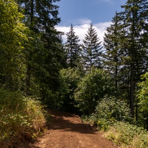 30540 NE BELL RD, Newberg, OR