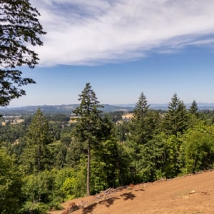 30540 NE BELL RD, Newberg, OR