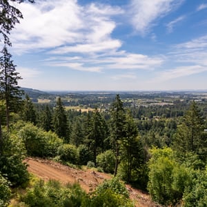 30540 NE BELL RD, Newberg, OR