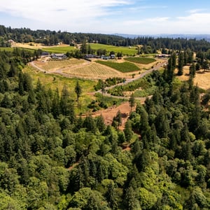 30540 NE BELL RD, Newberg, OR