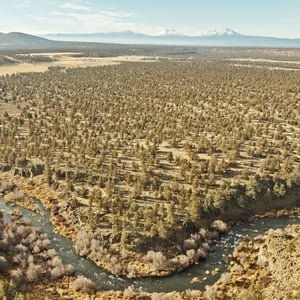 6633 NW Tetherow Road, Redmond, OR