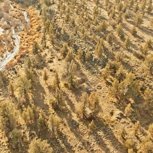 6633 NW Tetherow Road, Redmond, OR