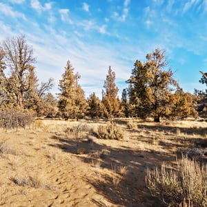 6633 NW Tetherow Road, Redmond, OR