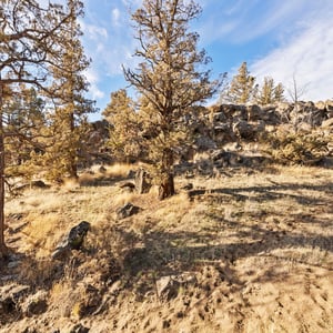 6633 NW Tetherow Road, Redmond, OR
