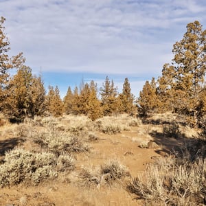 6633 NW Tetherow Road, Redmond, OR
