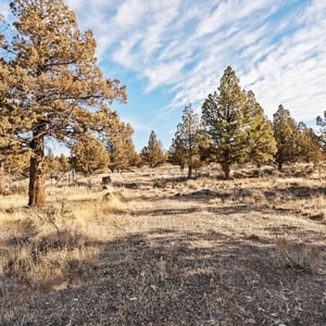 6633 NW Tetherow Road, Redmond, OR