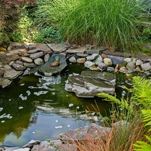 3077 NW Lisa Pl, Corvallis, OR