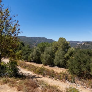 21254 Colina Dr, Topanga, CA