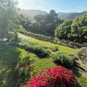 21254 Colina Dr, Topanga, CA