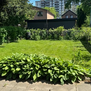 49 Woodville Avenue, Toronto, ON