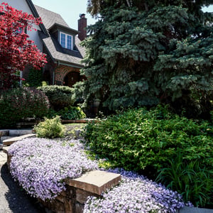 111 Glenview Avenue, Toronto, ON