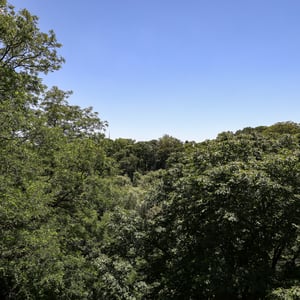 407 Walmer Road, 401, Toronto, ON