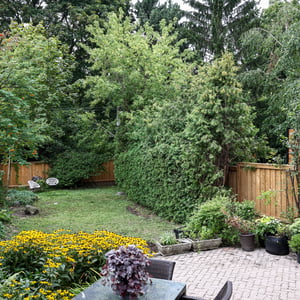 129 Stibbard Avenue, Toronto, ON
