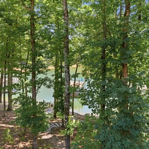 6029 Shadburn Ferry Rd, Buford, GA