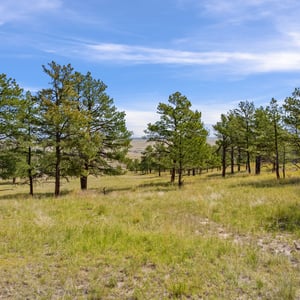 Vista View Ranches, Calhan, CO