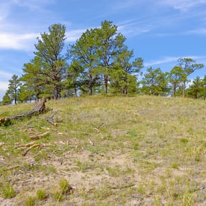 Vista View Ranches, Calhan, CO