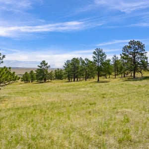 Vista View Ranches, Calhan, CO