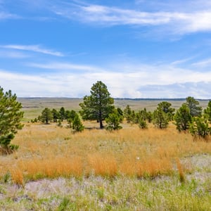 Vista View Ranches, Calhan, CO