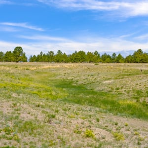 Vista View Ranches, Calhan, CO