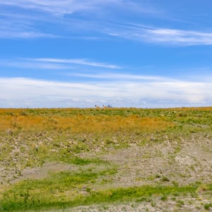Vista View Ranches, Calhan, CO