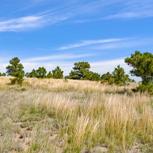 Vista View Ranches, Calhan, CO