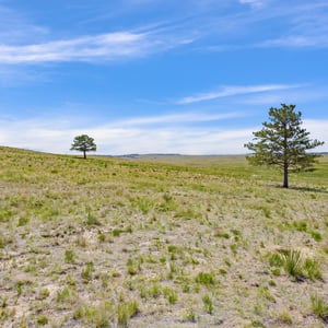 Vista View Ranches, Calhan, CO