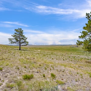 Vista View Ranches, Calhan, CO