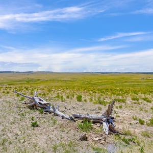 Vista View Ranches, Calhan, CO