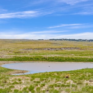 Vista View Ranches, Calhan, CO