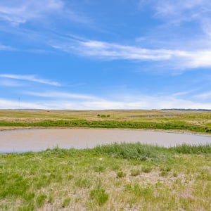 Vista View Ranches, Calhan, CO