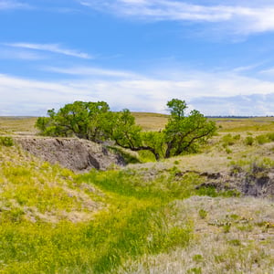 Vista View Ranches, Calhan, CO
