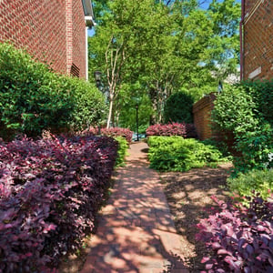 1124 Dilworth Crescent Row, Charlotte, NC