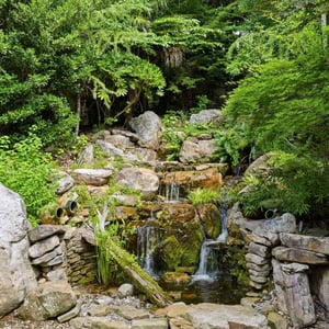 8371 Providence Road, Charlotte, NC