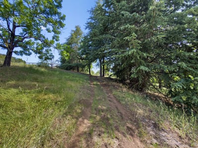 7025 Glen Haven Rd, Soquel, CA