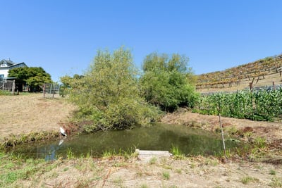 7337 Glen Haven Rd, Soquel, CA