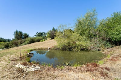 7337 Glen Haven Rd, Soquel, CA