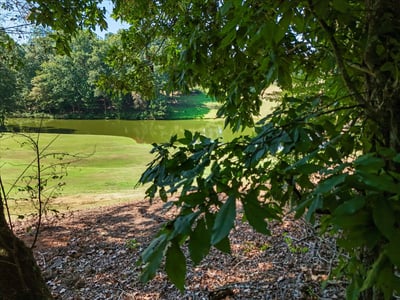 0 Lineberry Lane, Cumming, GA